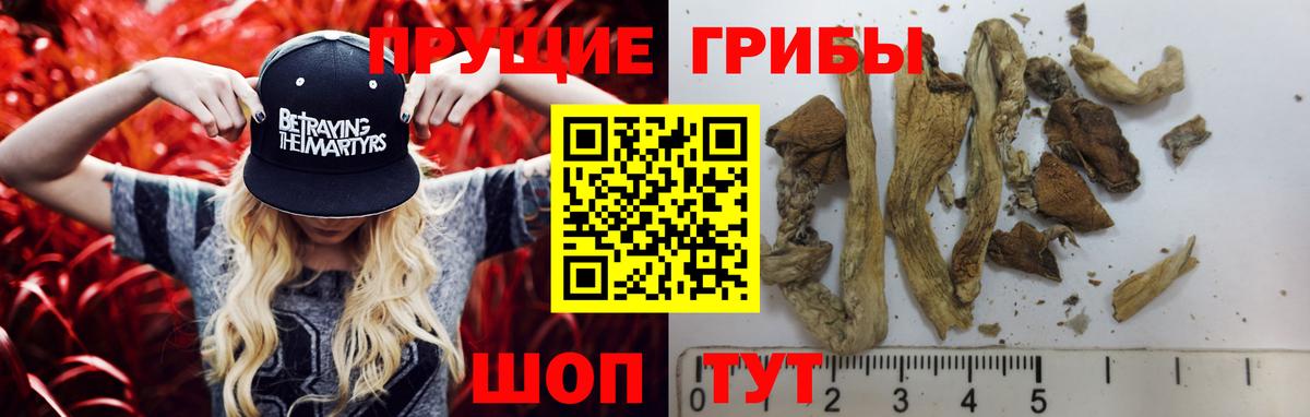 Галлюциногенные грибы мухоморы Конаково